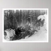 Witte pas Alaska Sled Train 1903 Poster (Voorkant)