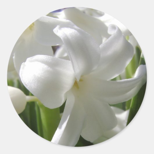Witte Pasen Lilly Ronde Sticker (Voorkant)