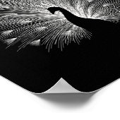 Witte pauw poster (Hoek)