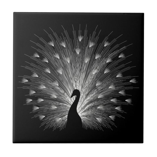 Witte pauw tegeltje (Voorkant)