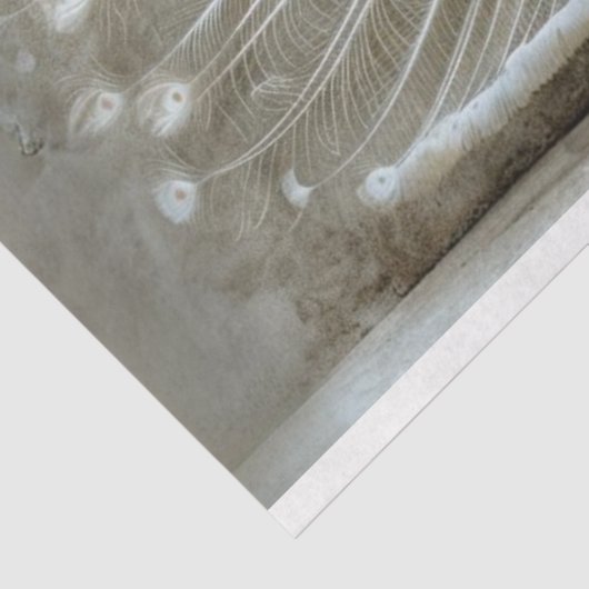 Witte pauwenveren ontrold decoupage tissuepapier (Detail)