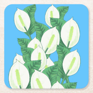 Witte Peace Lily Illustratie Bord Blauw Vierkante Kartonnen Onderzetter