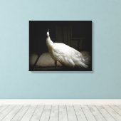 Witte Peacock Foto Canvas Afdruk (Insitu (Houten vloer))