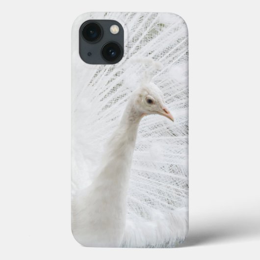 Witte Peacock mooie veren Case-Mate iPhone Case (Achterkant)