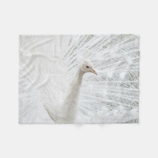 Witte Peacock mooie veren Fleece Deken (Voorkant (Horizontaal))