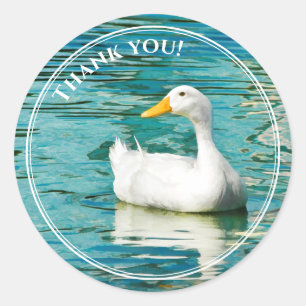 Witte Pekin Duck - Natuur Foto Lake Reflections Ronde Sticker