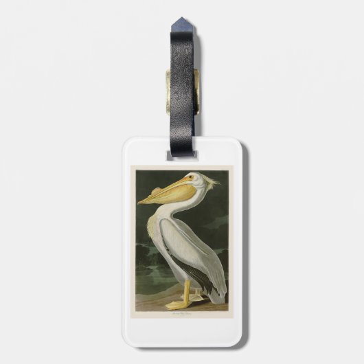 Witte Pelican John James Audubon Birds of America Bagagelabel