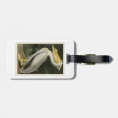 Witte Pelican John James Audubon Birds of America Bagagelabel