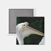 Witte pelikaan magneet (Voorkant / Achterkant)