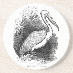 Witte Pelikaan Vintage Kunstprint Pen en Inkt Zandsteen Onderzetter