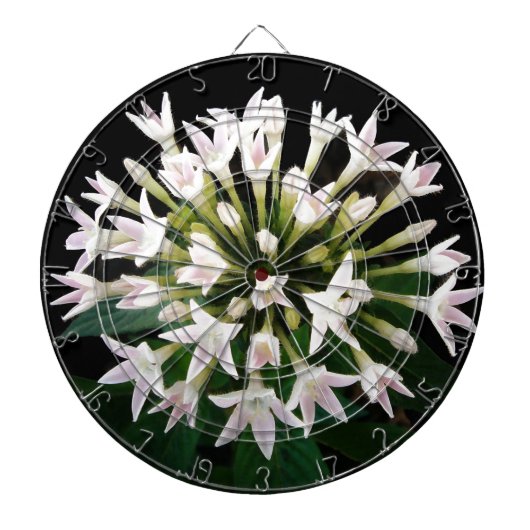 Witte Pentas Dartbord (Voorkant)