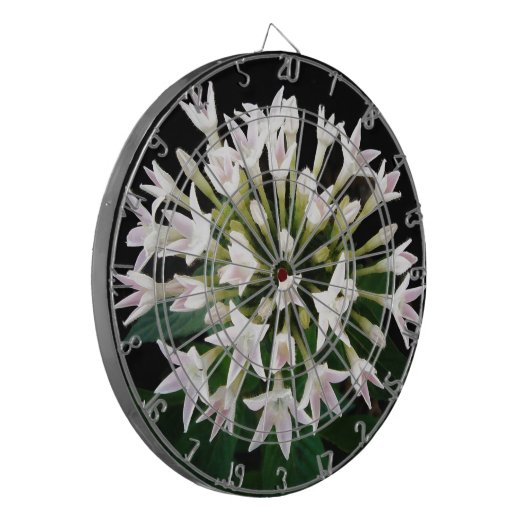 Witte Pentas Dartbord (Voorkant Links)