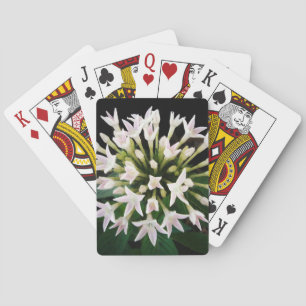 Witte Pentas Pokerkaarten