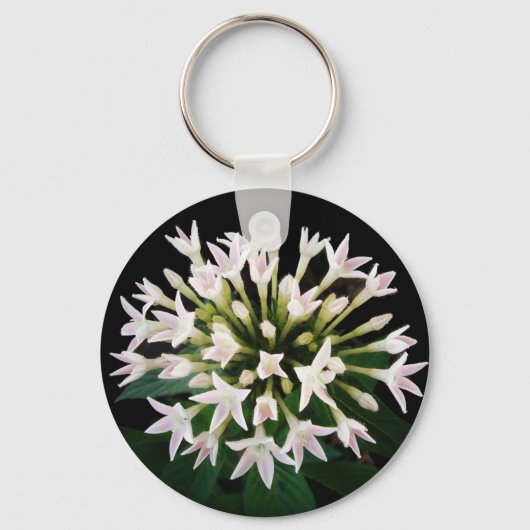Witte Pentas Sleutelhanger (Voorkant)