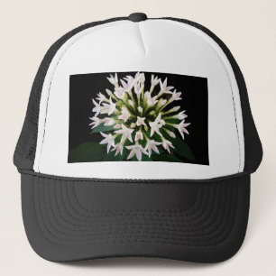 Witte Pentas Trucker Pet