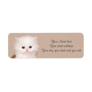 Witte persiaanse kitten etiket