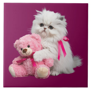 Witte Perzische en Teddybeer decoratieve Tegel Tegeltje