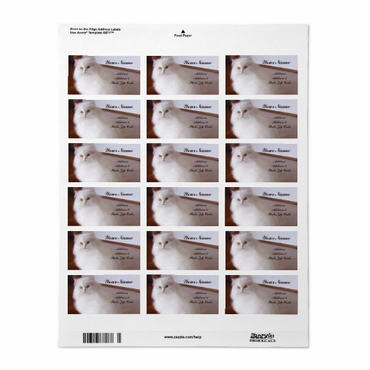 Witte Perzische Kat Adresetiketten Etiket (Full Sheet)