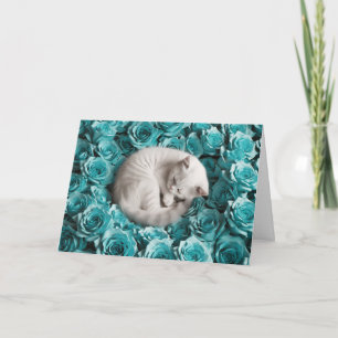 Witte Perzische kat en Rozen Kaart