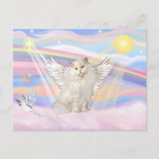 Witte Perzische kat engel in wolken Briefkaart (Voorkant)