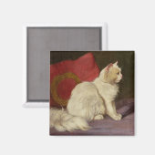Witte Perzische kat Magneet (Voorkant / Achterkant)