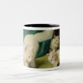 Witte Perzische kat met twee Kittens Tweekleurige Koffiemok (Center)