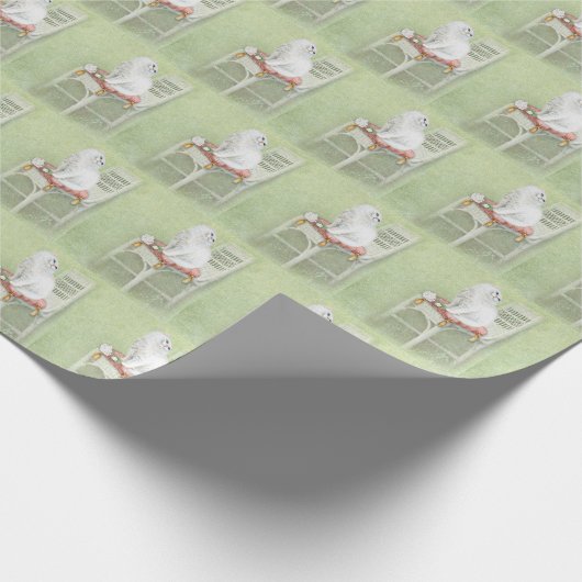 witte Perzische kat op stoel kussen Cadeaupapier (Hoek)