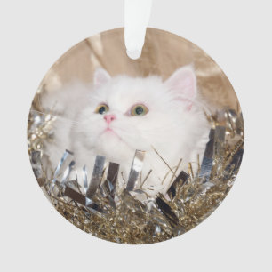 Witte Perzische kattekerst Ornament