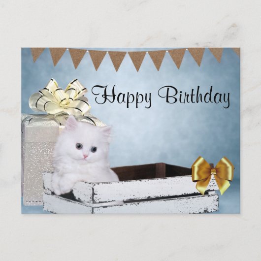 Witte Perzische kitten Birthday Briefkaart (Voorkant)