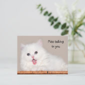 Witte perzische kitten mist je briefkaart (Staand voorkant)