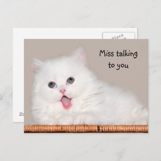 Witte perzische kitten mist je briefkaart (Voorkant / Achterkant)