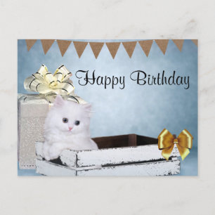 Witte Perzische kitten Verjaardag Briefkaart