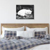 Witte Perzische Slaapkat Canvas Afdruk (Insitu (Slaapkamer))