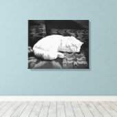 Witte Perzische Slaapkat Canvas Afdruk (Insitu (Houten vloer))