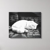 Witte Perzische Slaapkat Canvas Afdruk (Voorkant)