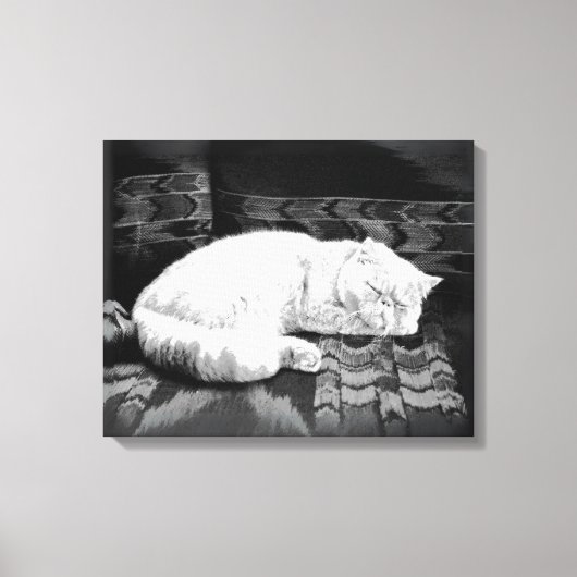 Witte Perzische Slaapkat Canvas Afdruk (Voorkant)