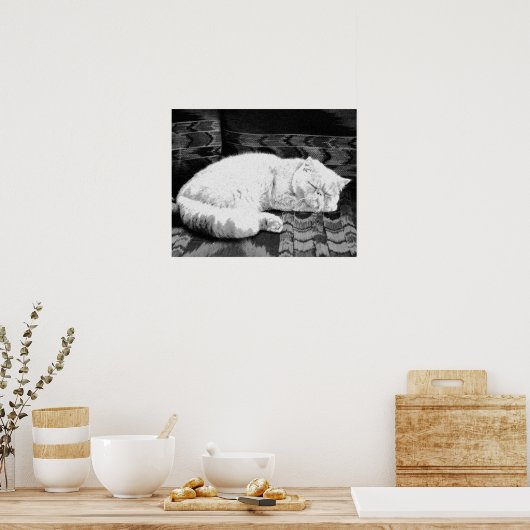 Witte Perzische Slaapkat Poster (Keuken)