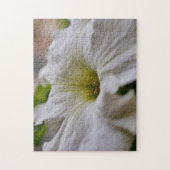 Witte Petunia Bloem Macro Close-up Puzzel Legpuzzel (Verticaal)