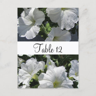 Witte Petunia's Tafel Stoelkaart Briefkaart