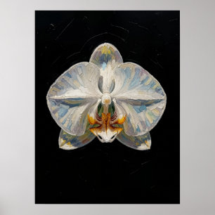 Witte Phalaenopsis Orchidee Fijne Kunstprint, Donk Poster