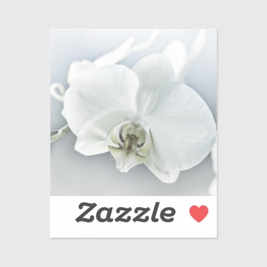 Witte Phaleonopsis Orchidee Sticker (Vel)