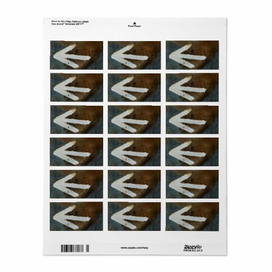 Witte pijllabels etiket (Full Sheet)