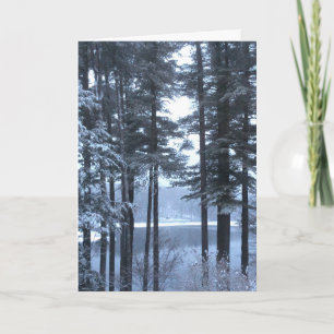 Witte pijnbomen in blauw licht — feestdagen kaart