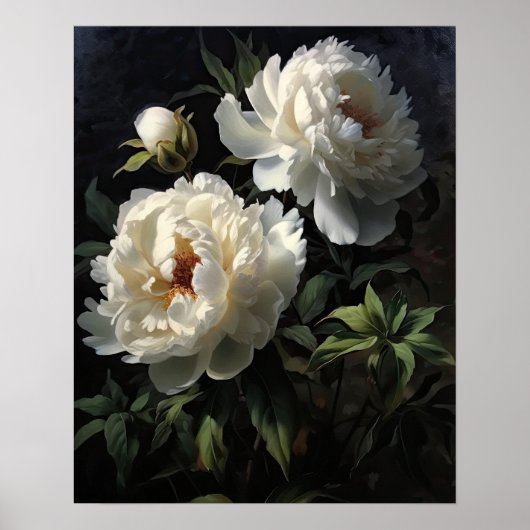 Witte Pioen Bloemen Art Print Poster (Voorkant)