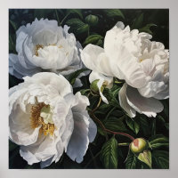 Witte Pioen Bloemen Art Print Poster