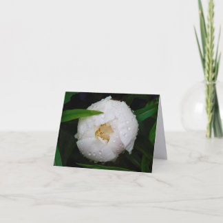 Witte Pioen Fijne Kunst Fotografie Vouwbare Notiti Bedankkaart