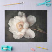 Witte pioen in bloei Botanisch schilderij Decoupag Tissuepapier (Craft)