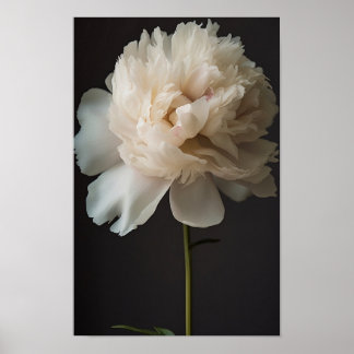 Witte pioenbloem met groene bladeren op donkere ru poster