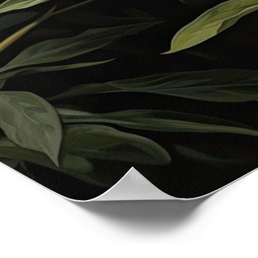 Witte Pioenrozen Bloemen Art Print Poster (Hoek)