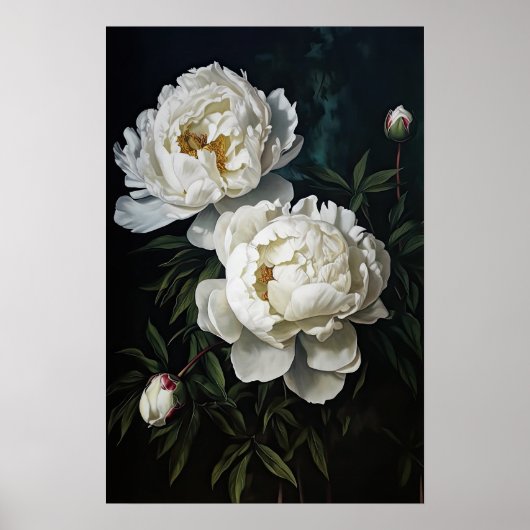 Witte Pioenrozen Bloemen Art Print Poster (Voorkant)